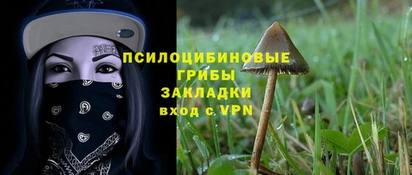 бошки Медвежьегорск