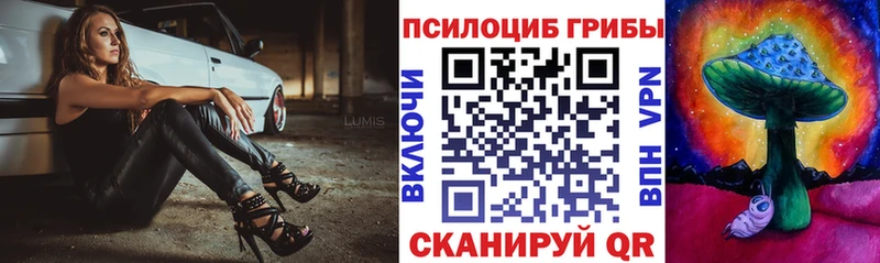 Псилоцибиновые грибы Psilocybe  купить наркоту  Новая Усмань 