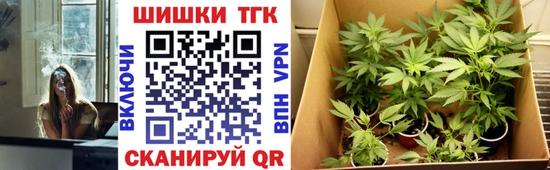 Шишки марихуана Ganja  продажа наркотиков  Новая Усмань 